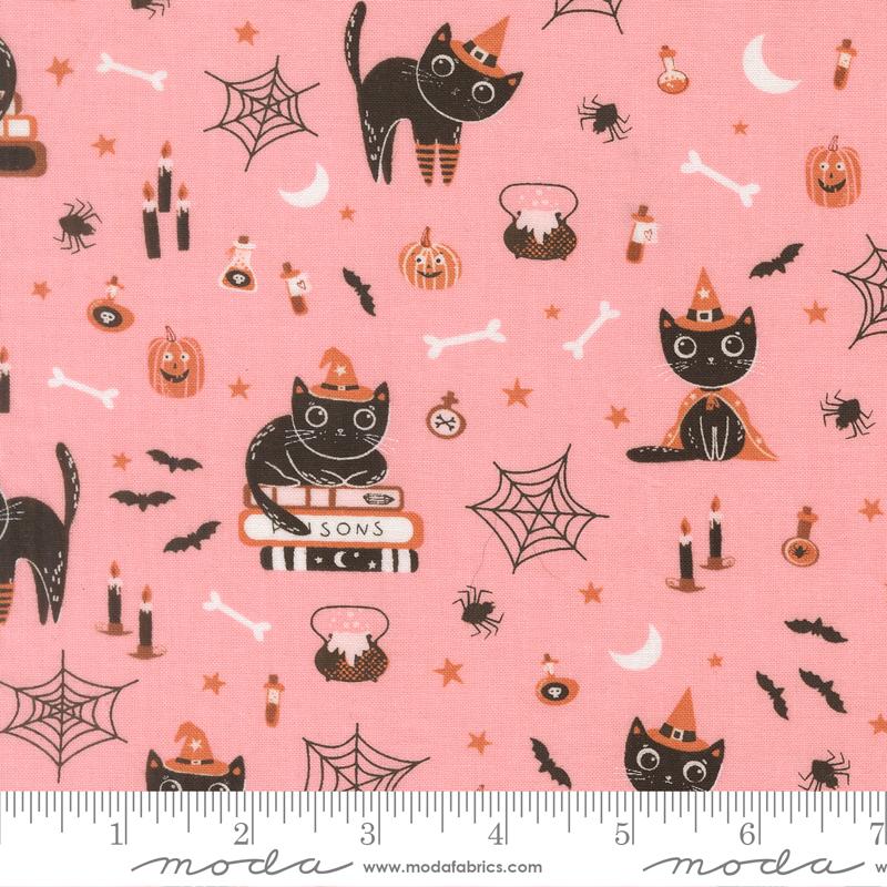 Cats Novelty- Candy