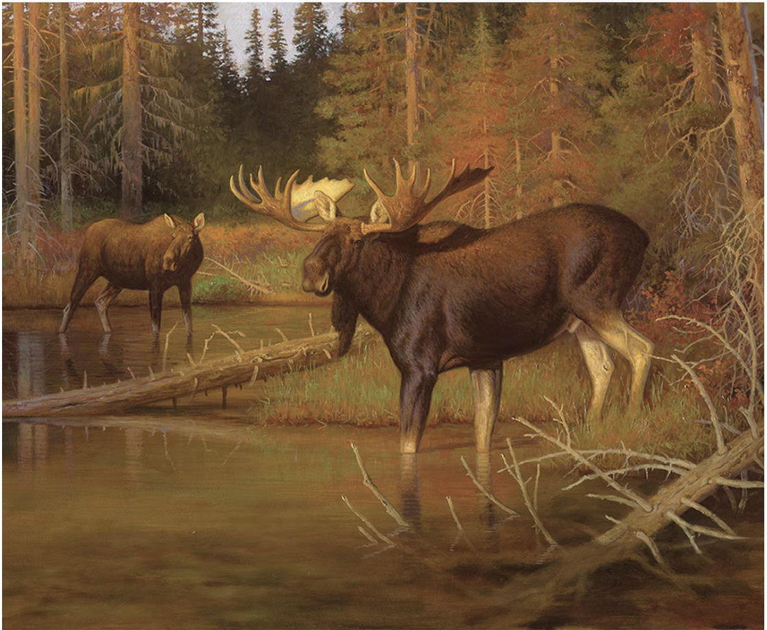 Majestic in Nature Intruder Panel