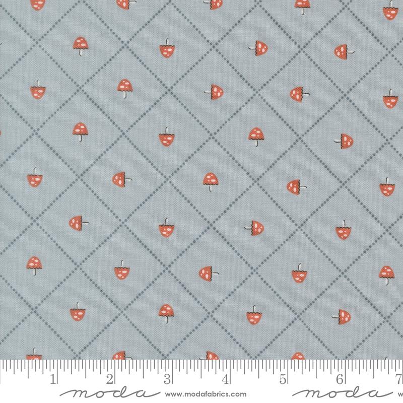 Mushroom and Grid- Sky