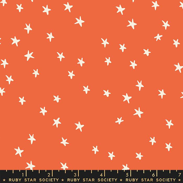 Starry- Nutmeg