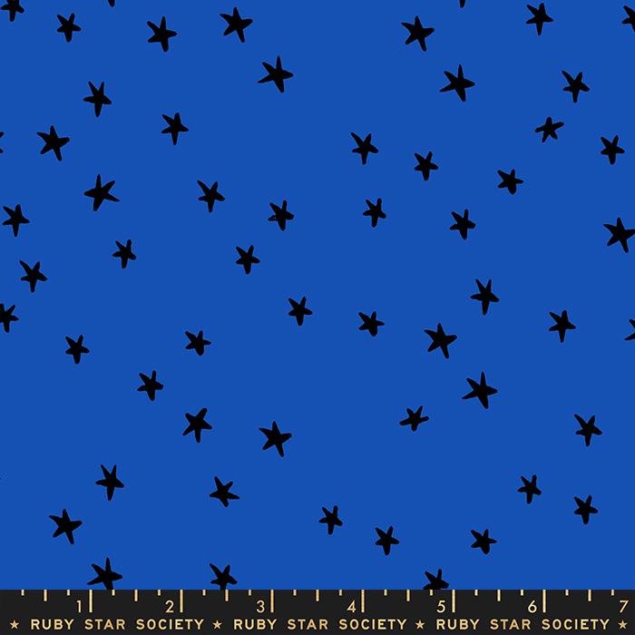 Starry- Blue Ribbon