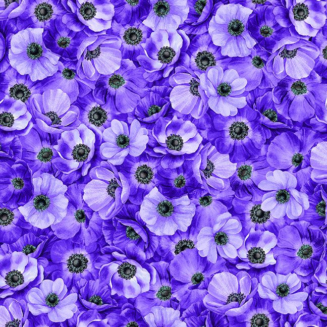Packed Anemones- Purple