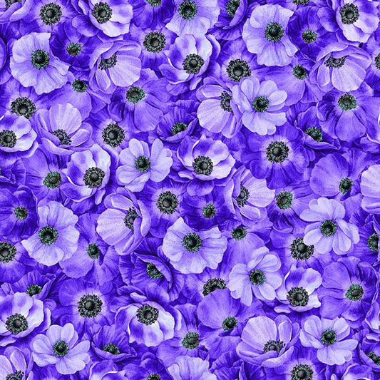Packed Anemones- Purple