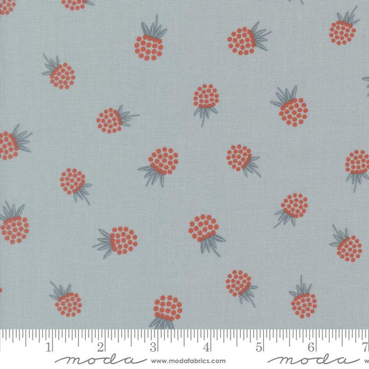 Berries Novelty- Sky