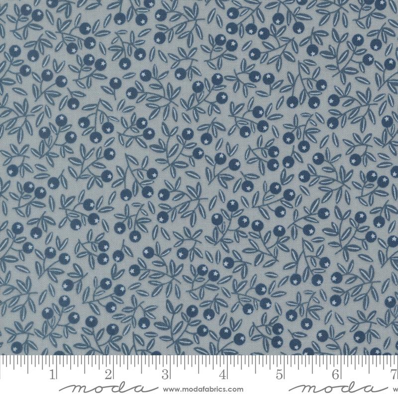 Blueberry Blenders- Pebbley Sky
