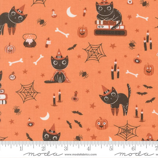 Cats Novelty- Pumpkin