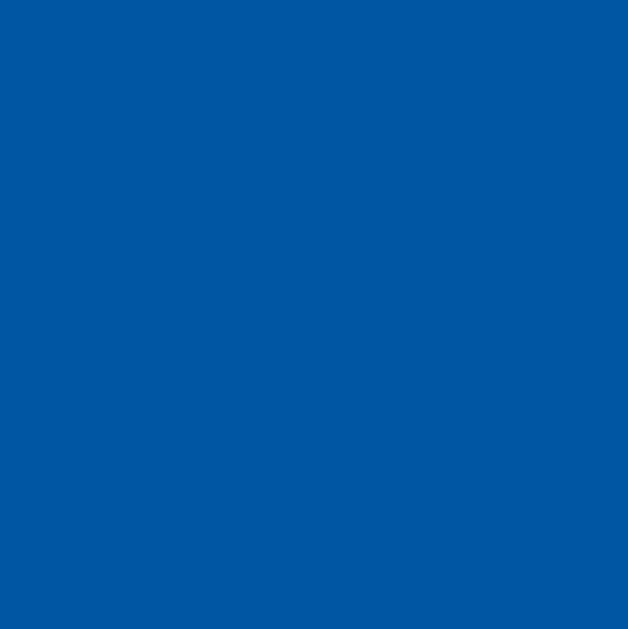 Confetti Cotton™- Riley Royal Blue