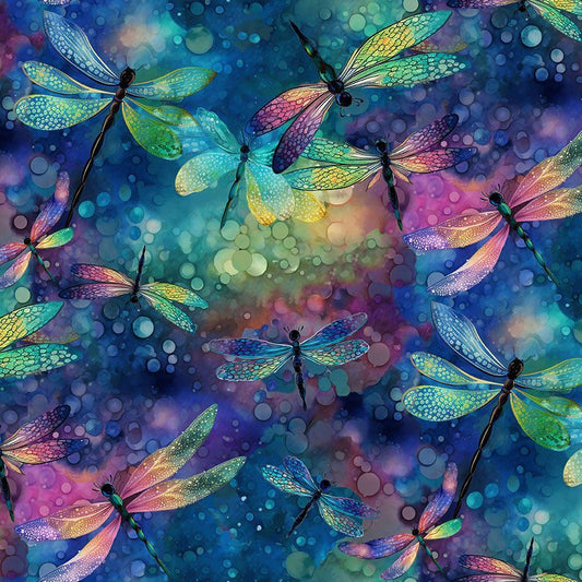 Wide Back Dragonfly Dream