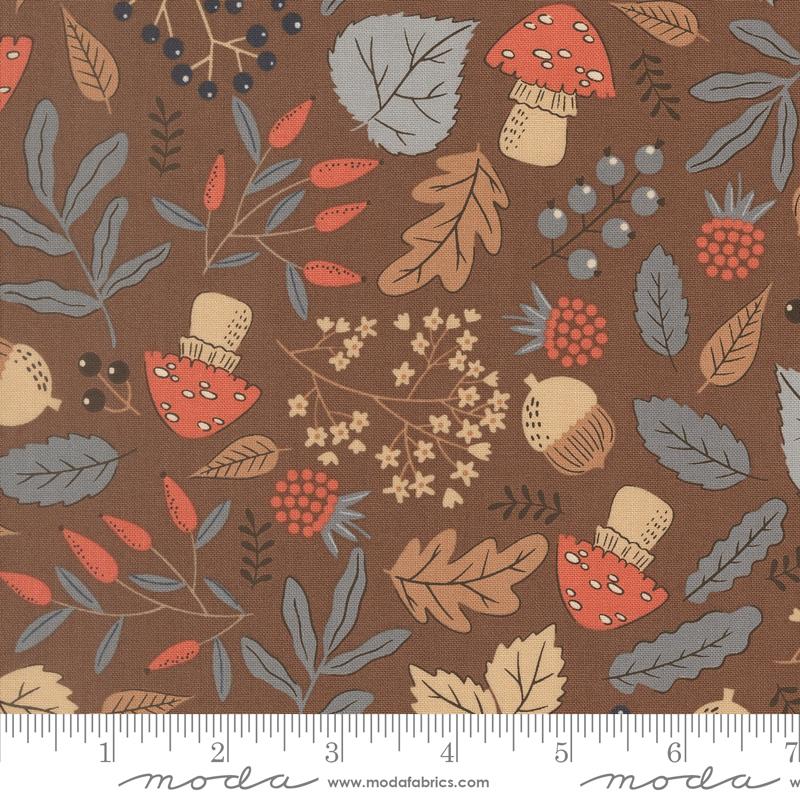 Forest Finds Fall - Bark