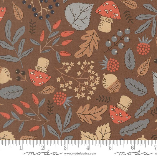 Forest Finds Fall - Bark