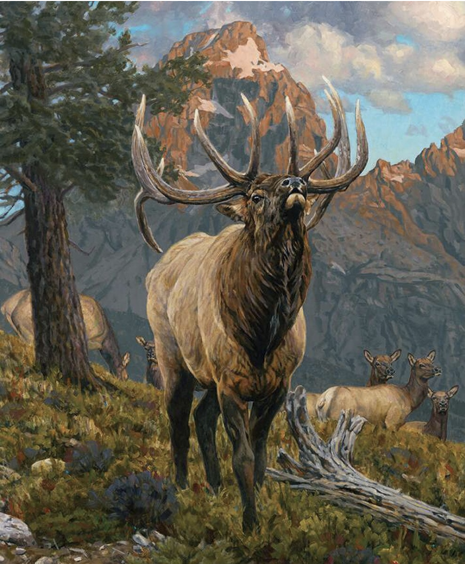 Majestic in Nature Grand Elk Panel