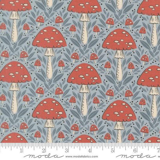 Mushroom Fall- Sky