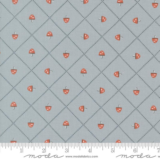 Mushroom and Grid- Sky