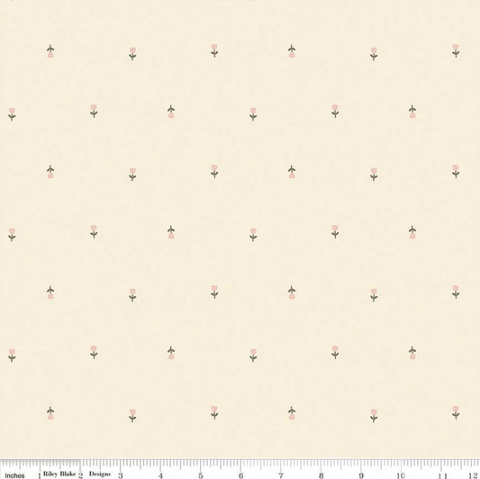 Blush 'n Butterscotch Tulips- Cream