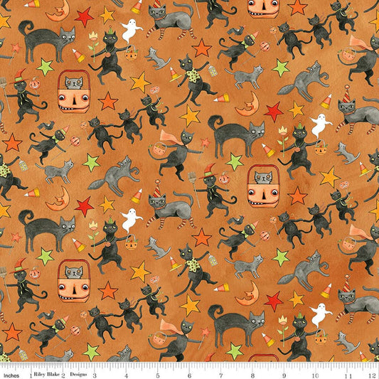 Spooky Cats- Orange
