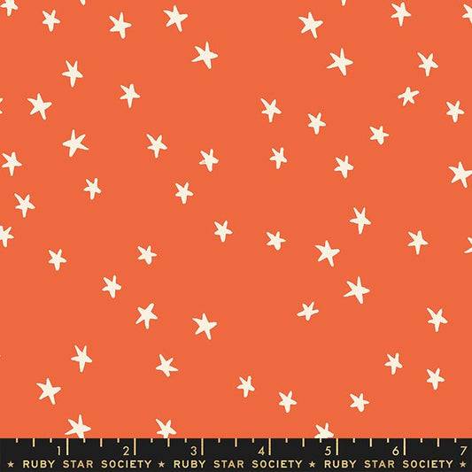 Starry- Nutmeg