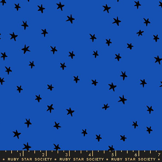 Starry- Blue Ribbon