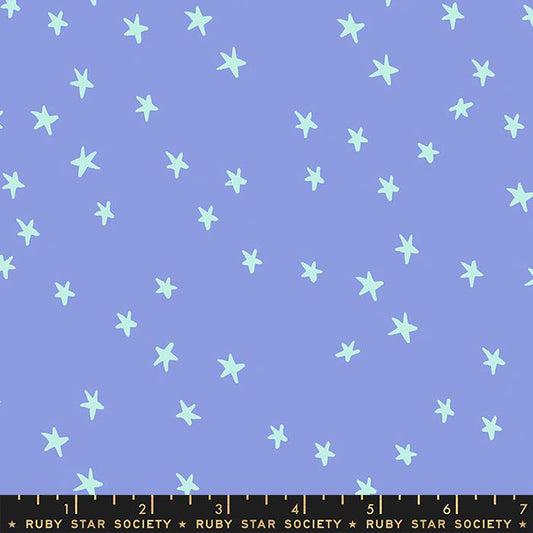 Starry- Dusk