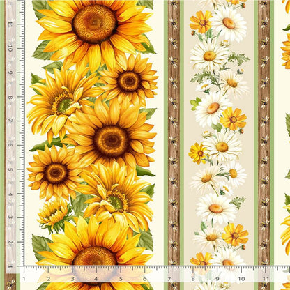 Sunflower Stripe