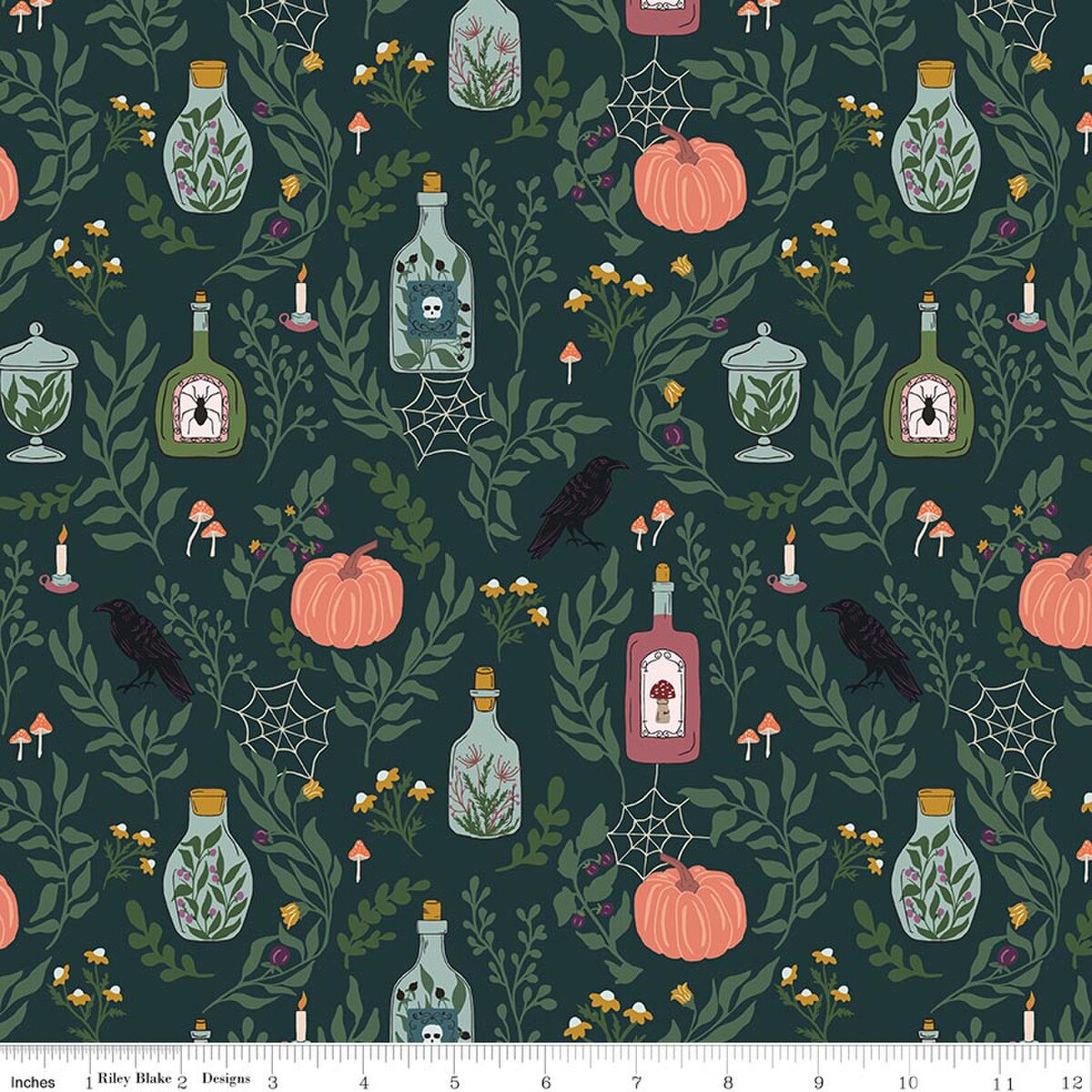The Apothecary Main- Deep Teal